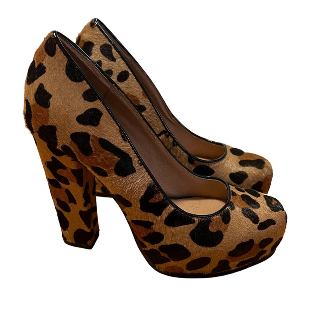 **SALE** Steve Madden Sarina-L Leopard Calf Hair Platform Pumps